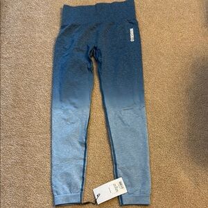 Gymshark Ombre Blue Leggings
Size Small